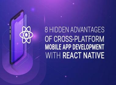 8 Hidden Advantages of Cross Platform Mobile App Development with React Native