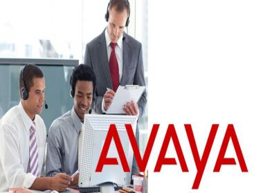 Features That Make Avaya Call Center Elite Special