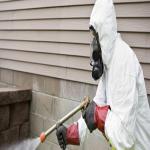 How to Eliminate Termites A Professional Pest Control Melbourne Guide