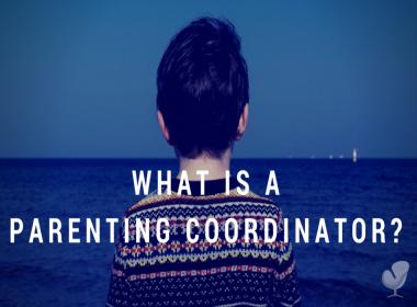 What is a Parenting Coordinator