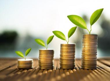 How Accountants Help Businesses Ensure Sustainability