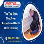 Top Signs Your Carpets and Ducts Need Prestige Cleaning Services