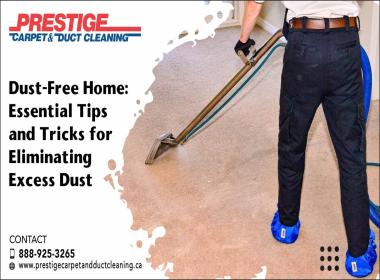 Dust Free Home Essential Tips and Tricks for Eliminating Excess Dust