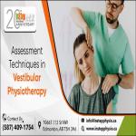 Assessment Techniques in Vestibular Physiotherapy