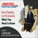 Duct Cleaning for Pet Owners What You Need to Know
