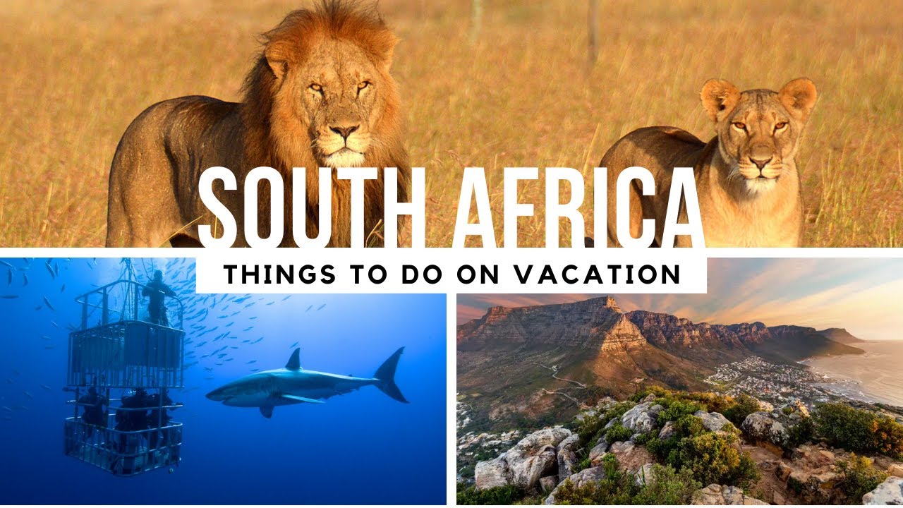 15 THINGS TO DO IN SOUTH AFRICA