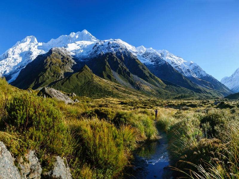 10 Stuff in New Zealand you can only do