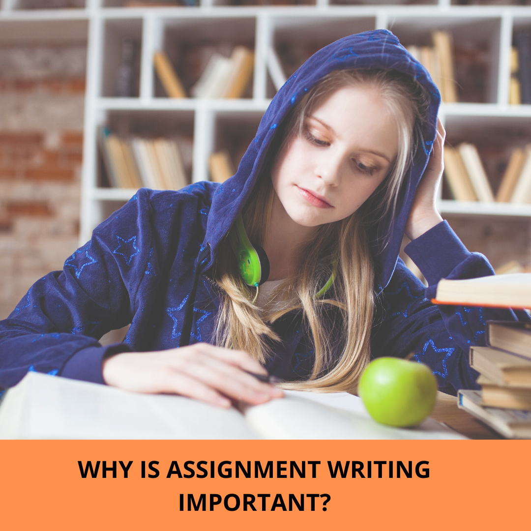 Why do students look for assignment services online