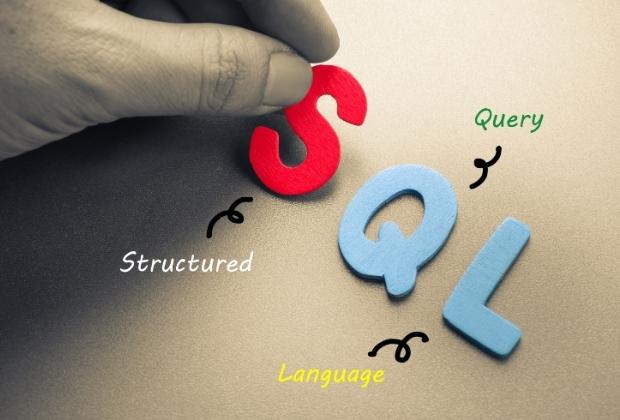 Overview About Best Programming Languages To Learn Alongside SQL