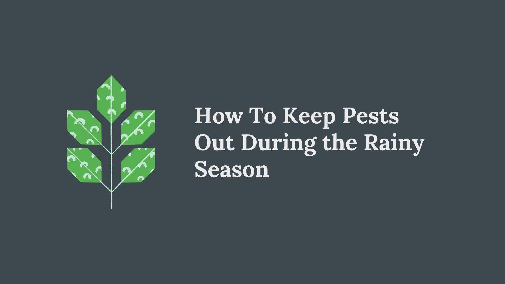 How To Keep Pests Out During the Rainy Season