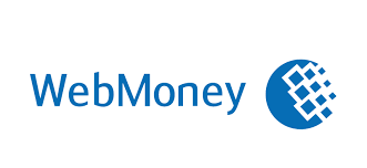 What is Web money