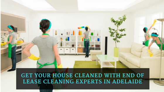 Cleaning versus cleaning disinfecting Whats the distinction