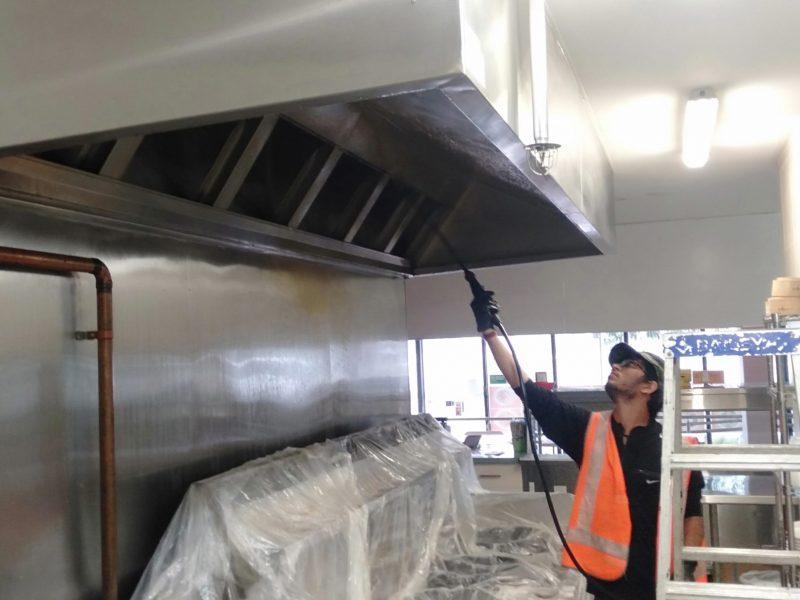 Top 3 Melbourne Canopy Cleaning Companies Review