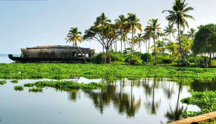 Best Things To Do In Kerala With Family