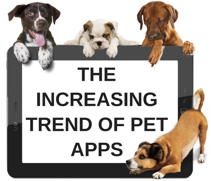 Concepts for Developing Online Animal Care Apps 6 Pet Apps to Create for Your Pet Raising Company