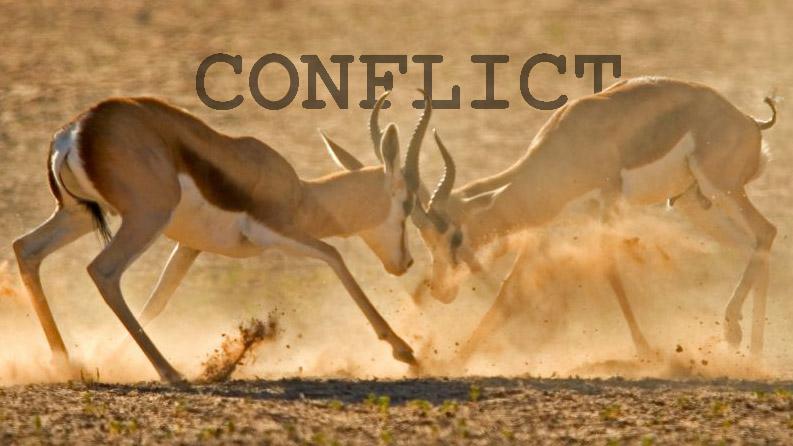 HOW TO CREATE CONFLICT IN YOUR STORY