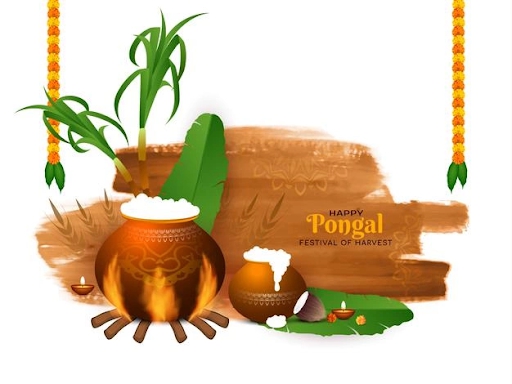 All About Pongal Importance Date & History