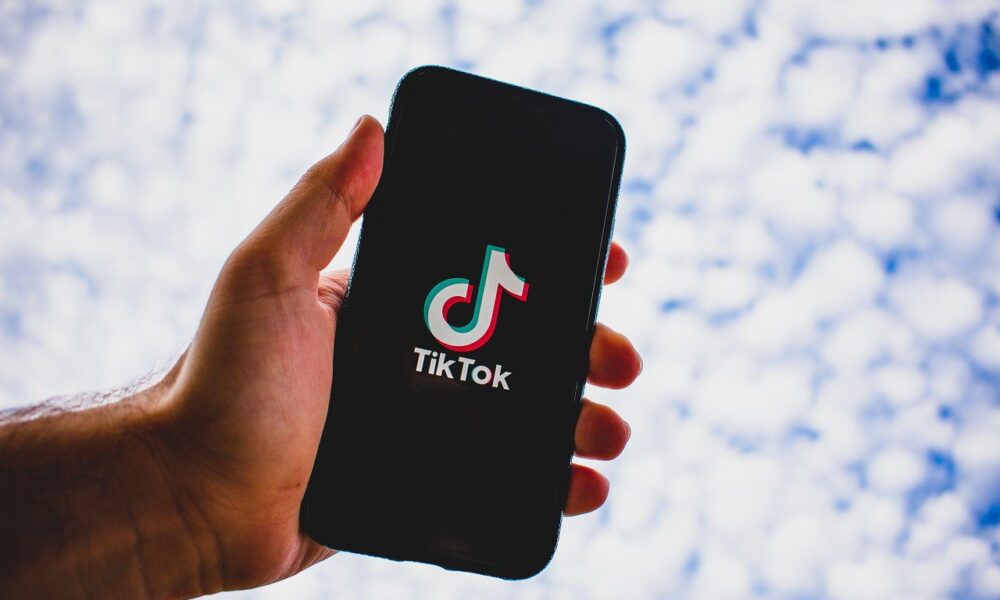 What Are the Benefits of a TikTok Social Media Reseller Panel