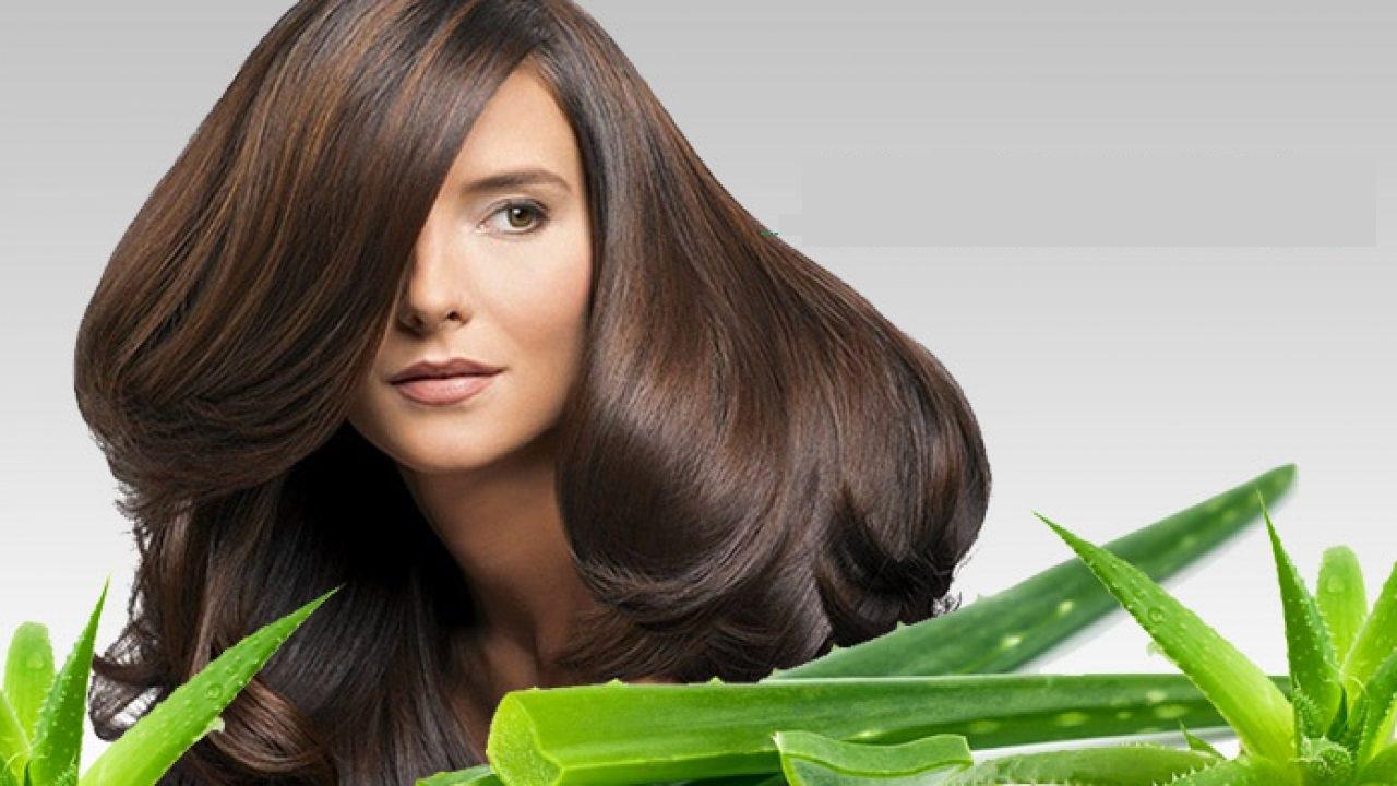Experts Talk How to Shortlist an Aloe Vera Gel for Hair