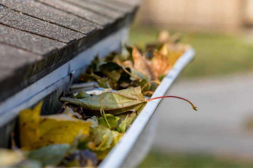 Common Problems Caused by Dirty Gutters