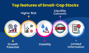 How Young Indian Investors Can Harness Small Cap Growth Power